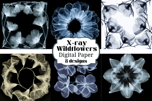 Unearthing Botanical Beauty: X-ray Wildflower Backgrounds